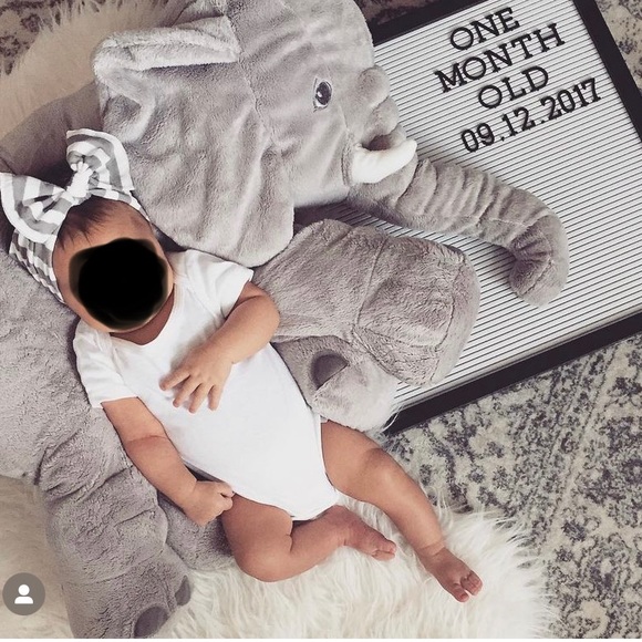 Bows - Picture 2 of 6